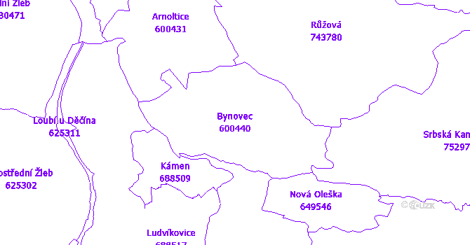 Katastrální mapa Bynovec - přehledová mapa katastrálního území