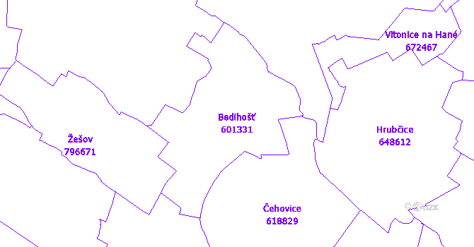 Katastrální mapa Bedihošť - přehledová mapa katastrálního území