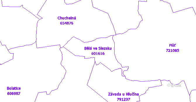 Katastrální mapa Bělá ve Slezsku - přehledová mapa katastrálního území