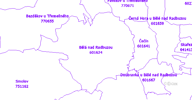 Katastrální mapa Bělá nad Radbuzou - přehledová mapa katastrálního území