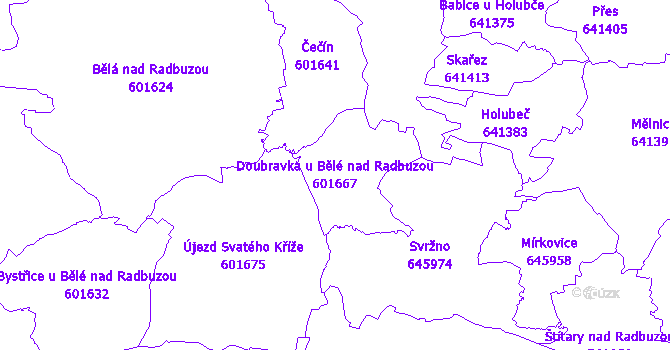 Katastrální mapa Doubravka u Bělé nad Radbuzou - přehledová mapa katastrálního území