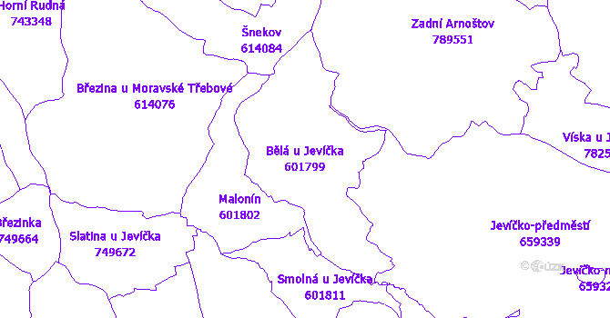 Katastrální mapa Bělá u Jevíčka - přehledová mapa katastrálního území