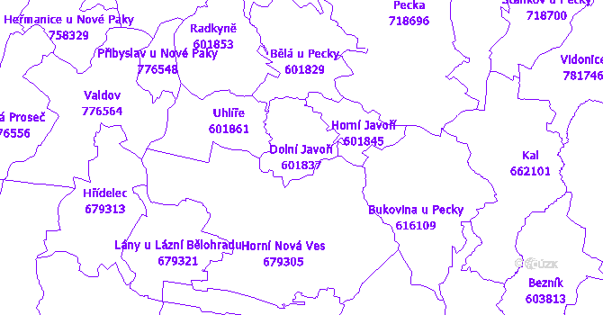 Katastrální mapa Dolní Javoří