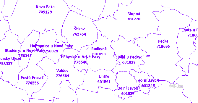 Katastrální mapa Radkyně - přehledová mapa katastrálního území