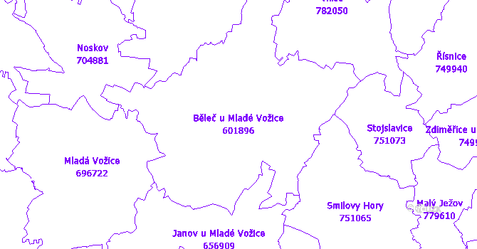 Katastrální mapa Běleč u Mladé Vožice - přehledová mapa katastrálního území