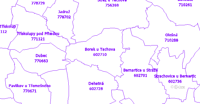 Katastrální mapa Borek u Tachova - přehledová mapa katastrálního území