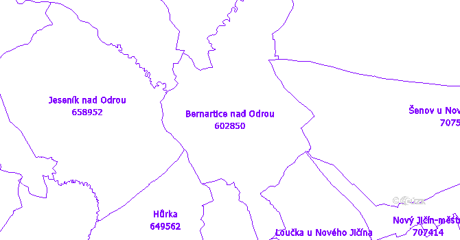 Katastrální mapa Bernartice nad Odrou - přehledová mapa katastrálního území