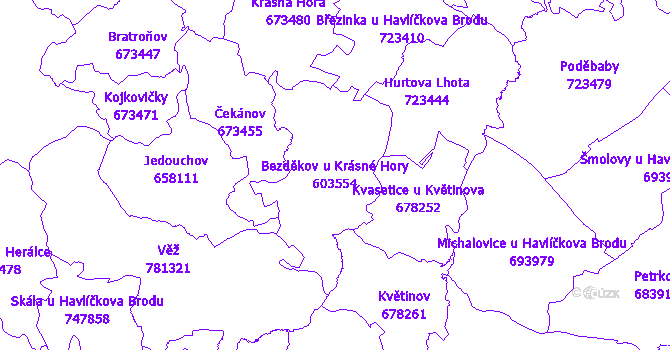 Katastrální mapa Bezděkov u Krásné Hory - přehledová mapa katastrálního území