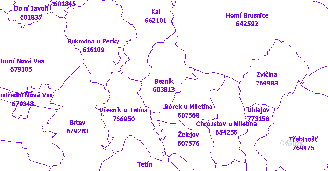 Katastrální mapa Bezník - přehledová mapa katastrálního území
