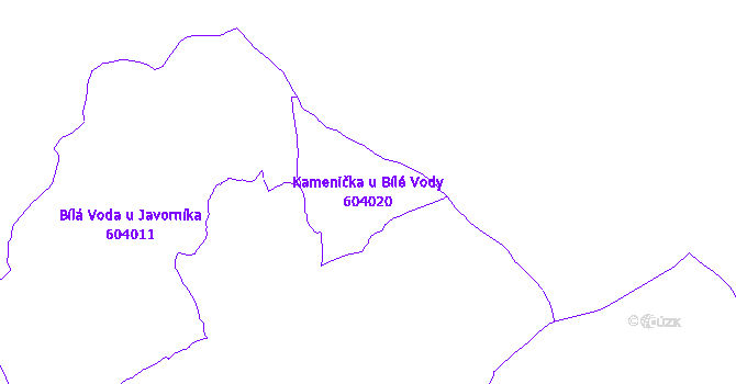 Katastrální mapa Kamenička u Bílé Vody - přehledová mapa katastrálního území