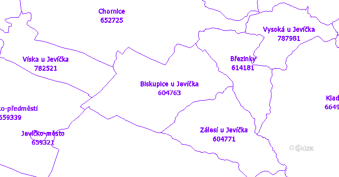Katastrální mapa Biskupice u Jevíčka