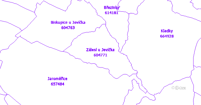Katastrální mapa Zálesí u Jevíčka - přehledová mapa katastrálního území