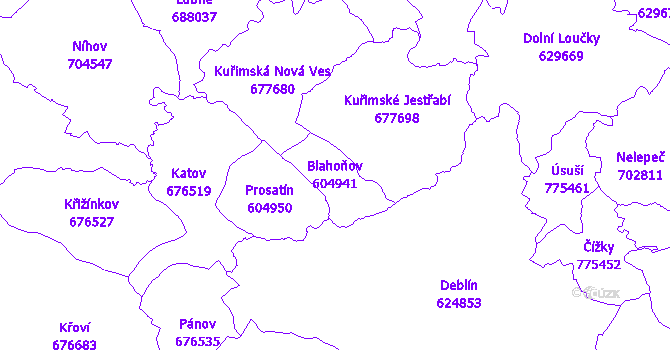 Katastrální mapa Blahoňov - přehledová mapa katastrálního území