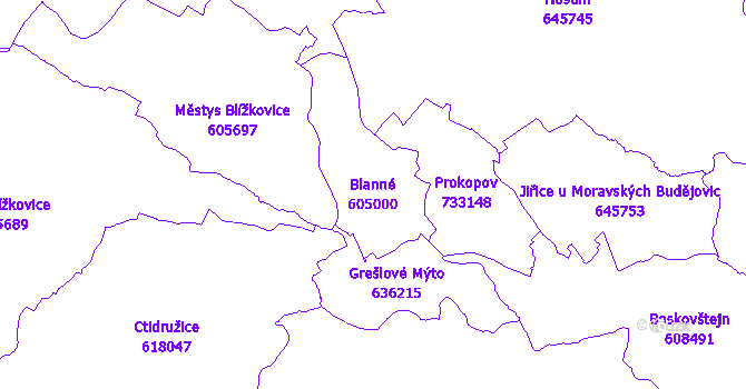 Katastrální mapa Blanné - přehledová mapa katastrálního území