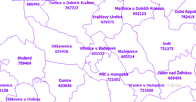 Katastrální mapa Vítonice u Blažejovic - přehledová mapa katastrálního území