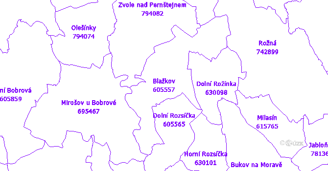 Katastrální mapa Blažkov - přehledová mapa katastrálního území