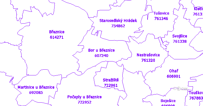 Katastrální mapa Bor u Březnice - přehledová mapa katastrálního území