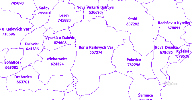 Katastrální mapa Bor u Karlových Var - přehledová mapa katastrálního území
