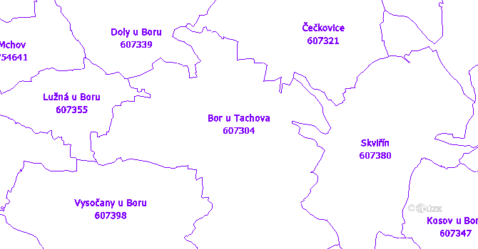 Katastrální mapa Bor u Tachova - přehledová mapa katastrálního území
