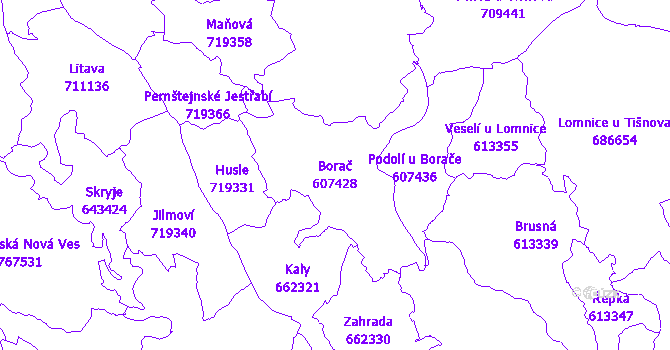Katastrální mapa Borač - přehledová mapa katastrálního území