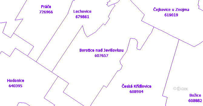 Katastrální mapa Borotice nad Jevišovkou