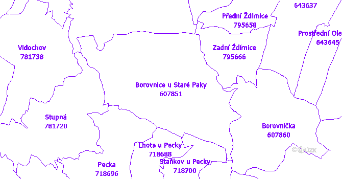 Katastrální mapa Borovnice u Staré Paky - přehledová mapa katastrálního území