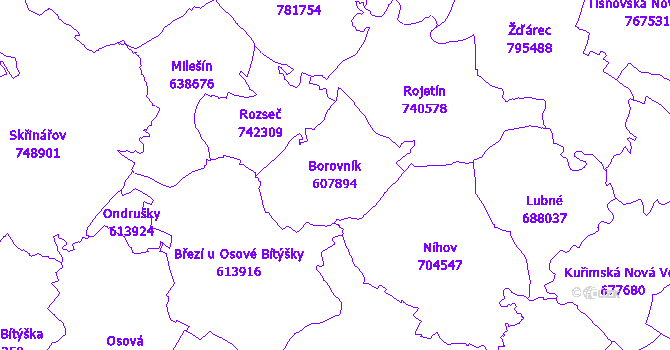 Katastrální mapa Borovník - přehledová mapa katastrálního území
