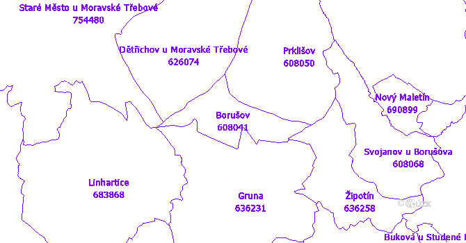 Katastrální mapa Borušov - přehledová mapa katastrálního území