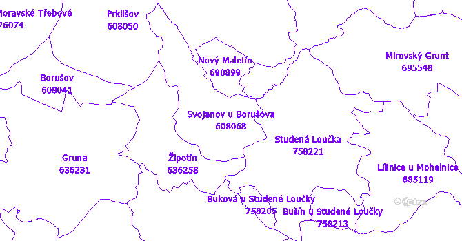 Katastrální mapa Svojanov u Borušova - přehledová mapa katastrálního území