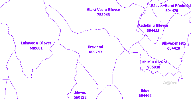 Katastrální mapa Bravinné - přehledová mapa katastrálního území