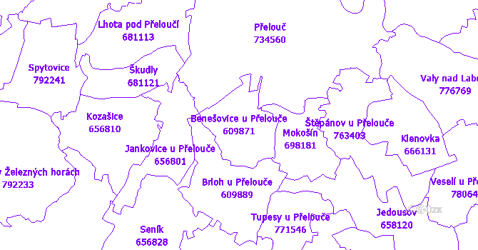 Katastrální mapa Benešovice u Přelouče
