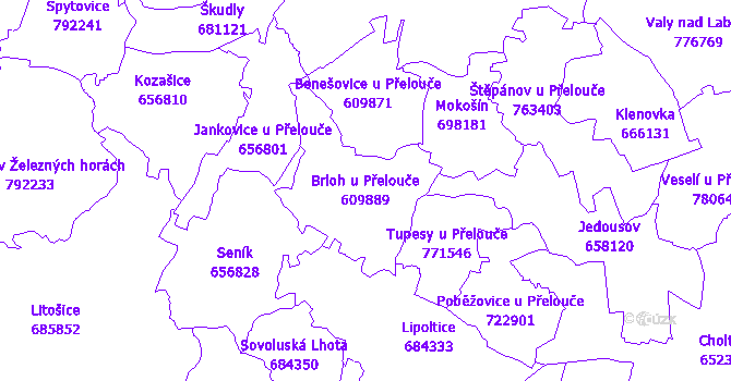 Katastrální mapa Brloh u Přelouče - přehledová mapa katastrálního území
