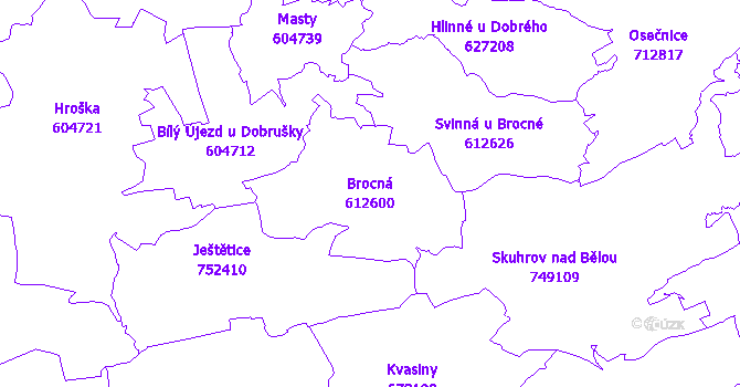 Katastrální mapa Brocná