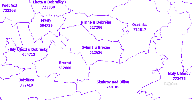 Katastrální mapa Svinná u Brocné - přehledová mapa katastrálního území
