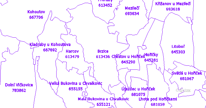 Katastrální mapa Brzice - přehledová mapa katastrálního území