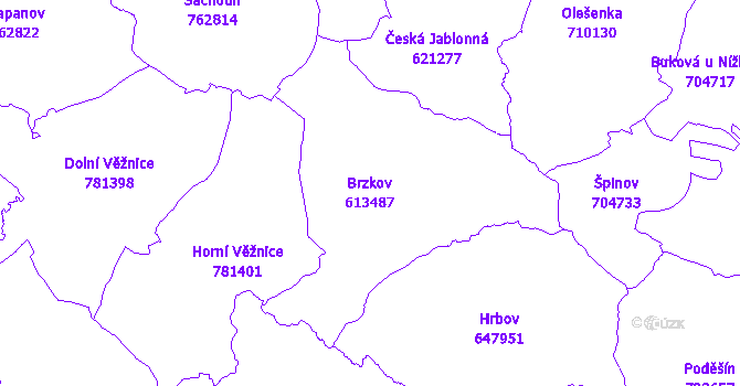 Katastrální mapa Brzkov - přehledová mapa katastrálního území