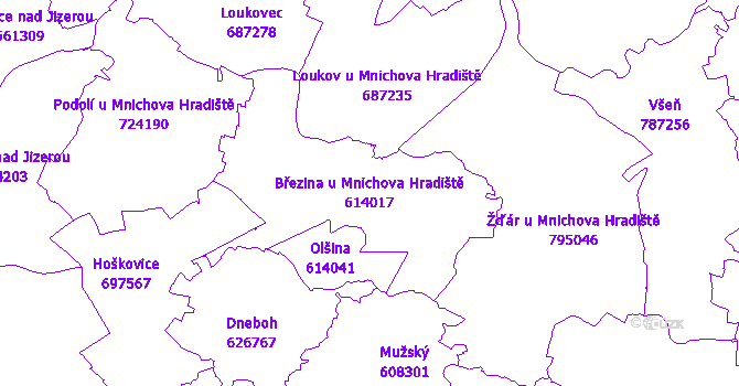 Katastrální mapa Březina u Mnichova Hradiště - přehledová mapa katastrálního území