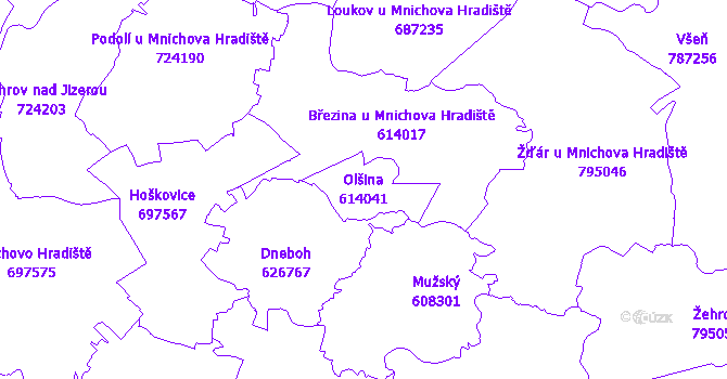 Katastrální mapa Olšina - přehledová mapa katastrálního území