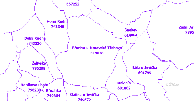 Katastrální mapa Březina u Moravské Třebové - přehledová mapa katastrálního území