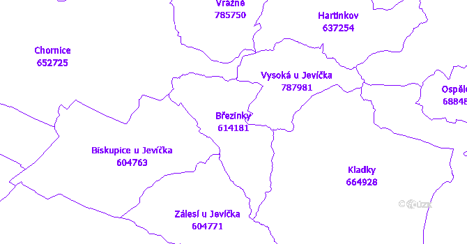 Katastrální mapa Březinky