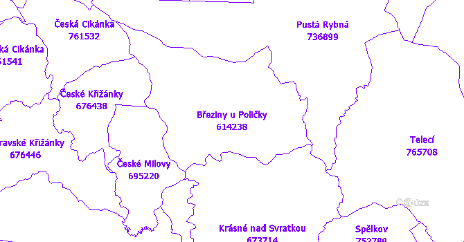 Katastrální mapa Březiny u Poličky - přehledová mapa katastrálního území
