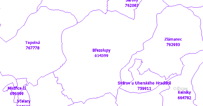 Katastrální mapa Březolupy - přehledová mapa katastrálního území