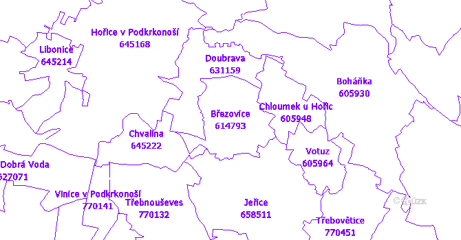 Katastrální mapa Březovice - přehledová mapa katastrálního území