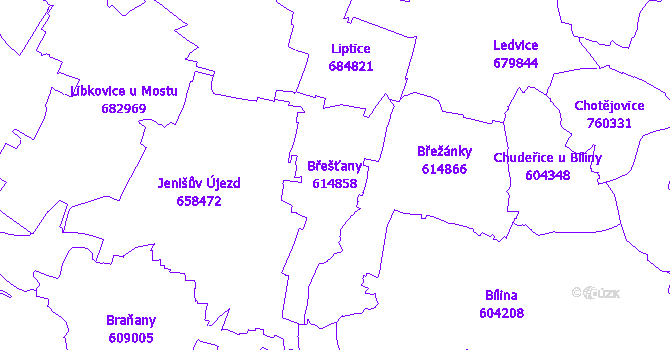 Katastrální mapa Břešťany - přehledová mapa katastrálního území