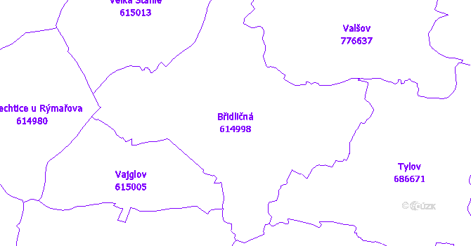 Katastrální mapa Břidličná - přehledová mapa katastrálního území