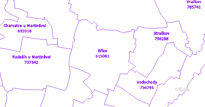 Katastrální mapa Bříza - přehledová mapa katastrálního území