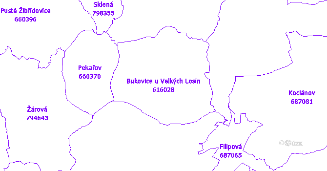 Katastrální mapa Bukovice u Velkých Losin - přehledová mapa katastrálního území