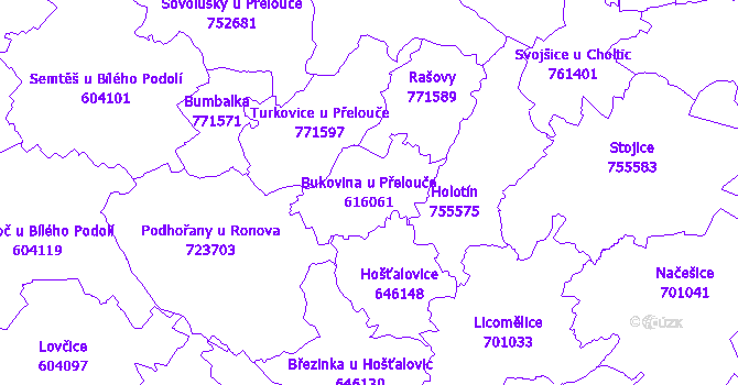 Katastrální mapa Bukovina u Přelouče - přehledová mapa katastrálního území
