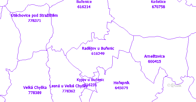 Katastrální mapa Radějov u Buřenic - přehledová mapa katastrálního území