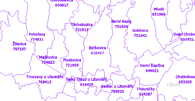 Katastrální mapa Býčkovice - přehledová mapa katastrálního území